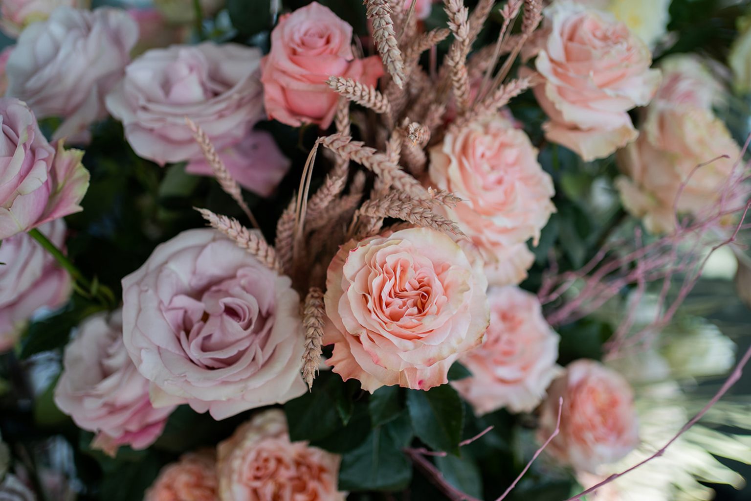 the-meaning-behind-the-number-of-roses-you-give-in-a-bouquet-hoja-verde